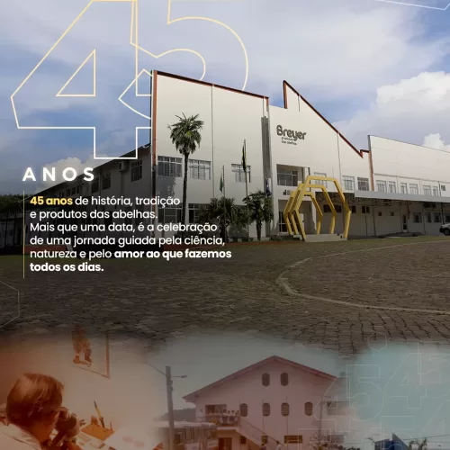 45 anos da Breyer