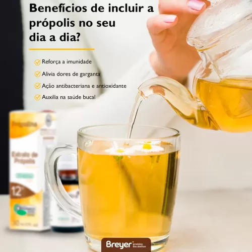 Benefícios da própolis
