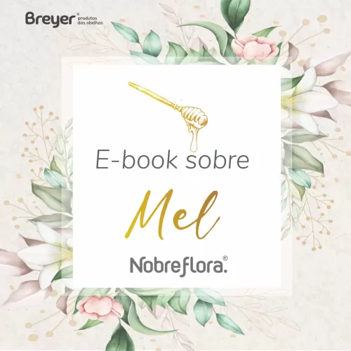 E-book sobre o Mel