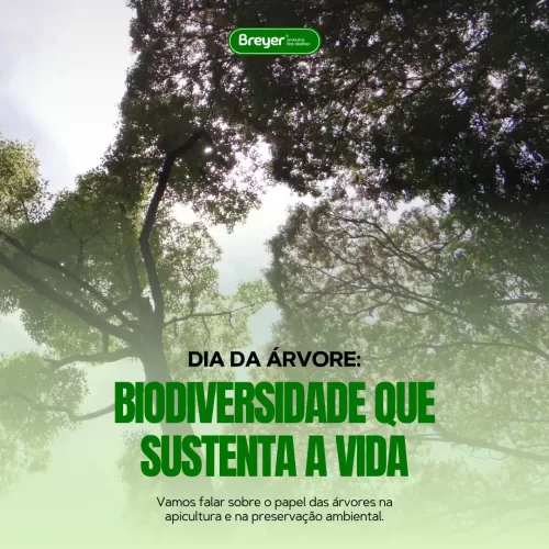 Dia da Árvore