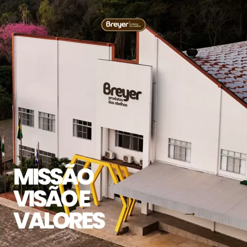 Missão, Visão e Valores